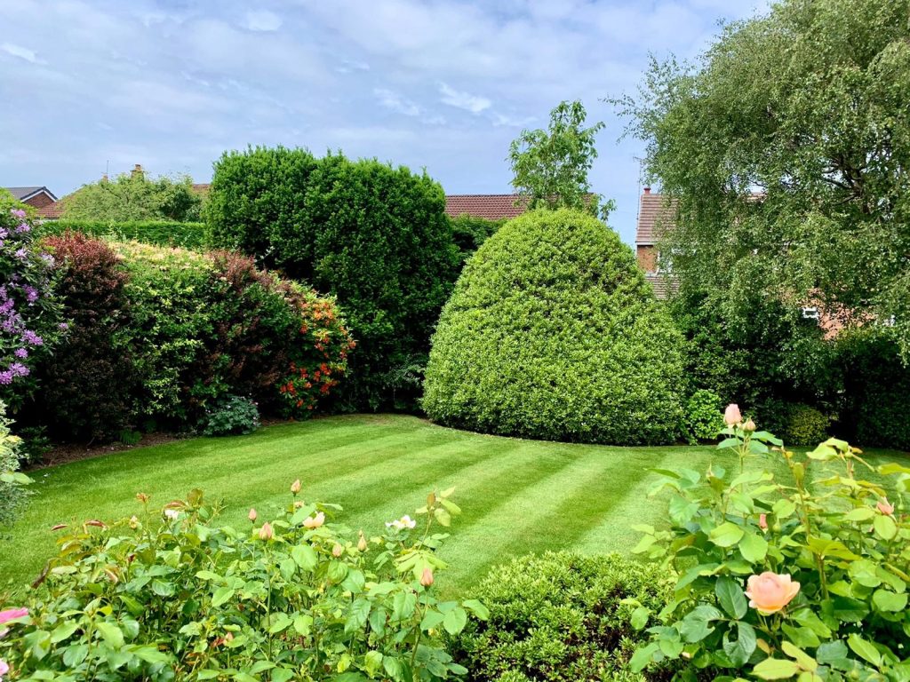 Garden Maintenance