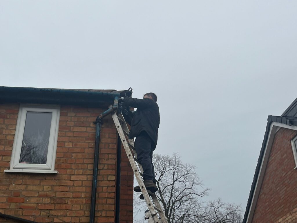 Bat Survey