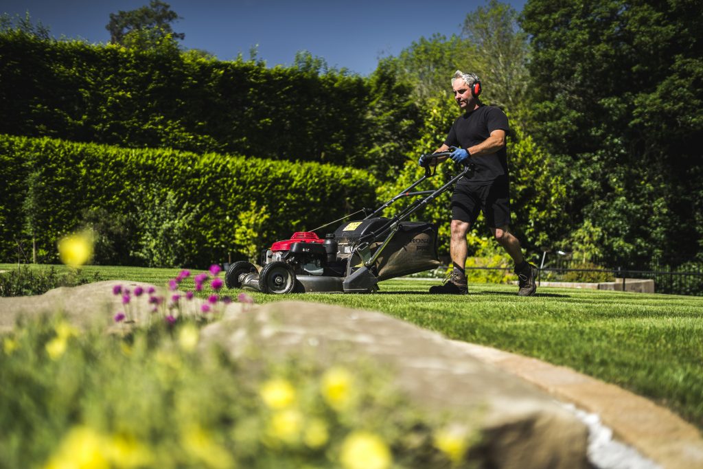 Lawn Care