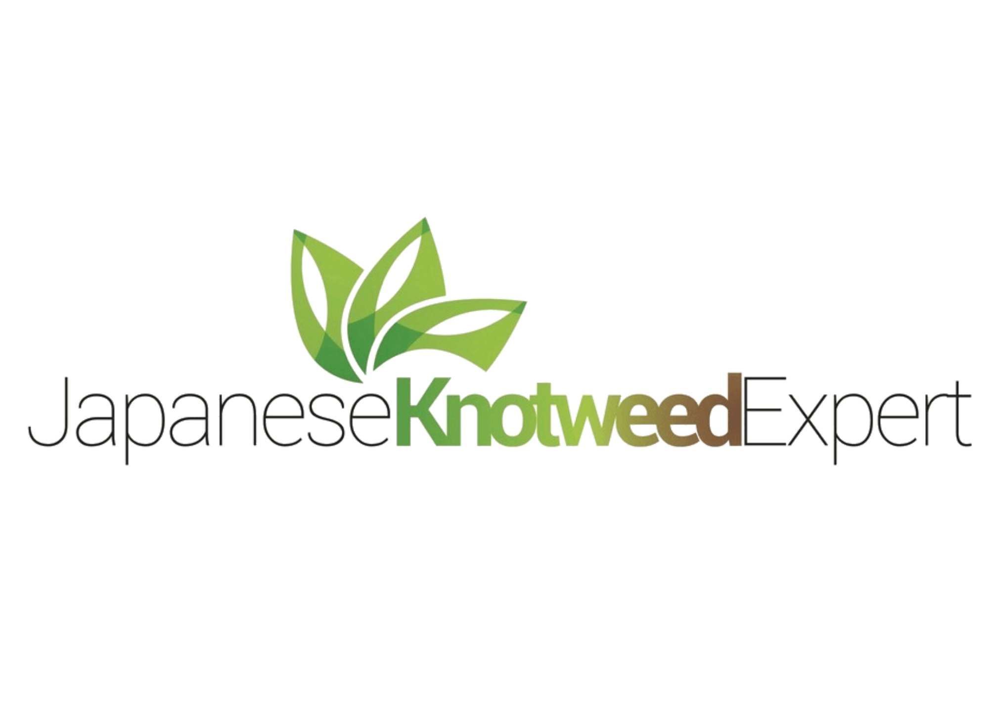 Japanese Knotweed Expert Logo